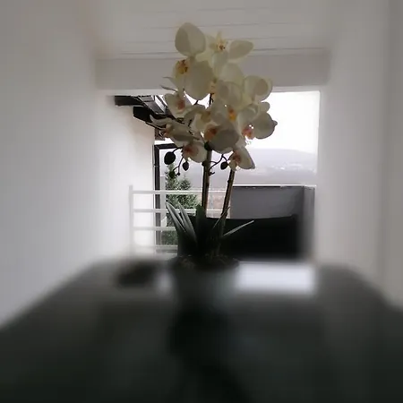Apartman Marijana *